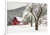 Fresh Snow on Red Barn Near Salmo, British Columbia, Canada-Chuck Haney-Framed Photographic Print