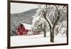 Fresh Snow on Red Barn Near Salmo, British Columbia, Canada-Chuck Haney-Framed Photographic Print