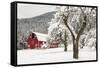 Fresh Snow on Red Barn Near Salmo, British Columbia, Canada-Chuck Haney-Framed Stretched Canvas