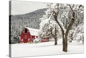 Fresh Snow on Red Barn Near Salmo, British Columbia, Canada-Chuck Haney-Stretched Canvas