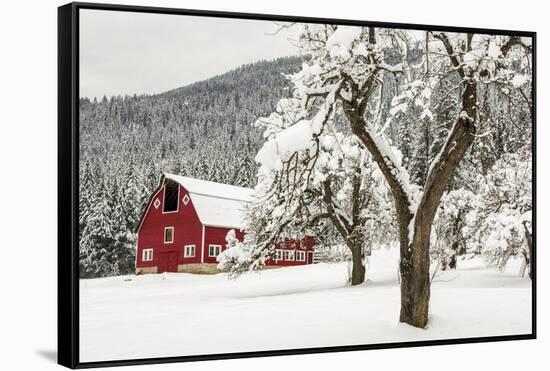 Fresh Snow on Red Barn Near Salmo, British Columbia, Canada-Chuck Haney-Framed Stretched Canvas