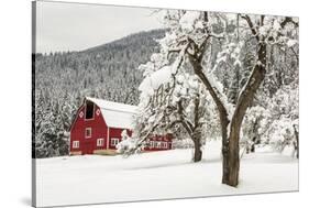 Fresh Snow on Red Barn Near Salmo, British Columbia, Canada-Chuck Haney-Stretched Canvas