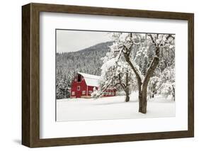 Fresh Snow on Red Barn Near Salmo, British Columbia, Canada-Chuck Haney-Framed Photographic Print