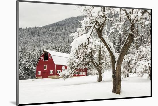 Fresh Snow on Red Barn Near Salmo, British Columbia, Canada-Chuck Haney-Mounted Photographic Print