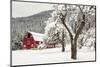 Fresh Snow on Red Barn Near Salmo, British Columbia, Canada-Chuck Haney-Mounted Photographic Print