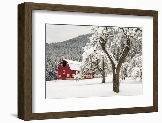 Fresh Snow on Red Barn Near Salmo, British Columbia, Canada-Chuck Haney-Framed Premium Photographic Print