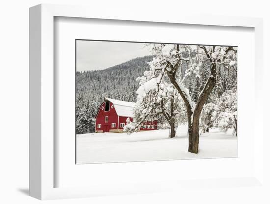 Fresh Snow on Red Barn Near Salmo, British Columbia, Canada-Chuck Haney-Framed Premium Photographic Print