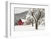 Fresh Snow on Red Barn Near Salmo, British Columbia, Canada-Chuck Haney-Framed Premium Photographic Print