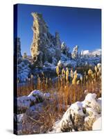 Fresh Snow on Tufa Formations & Cattails at Sunrise, Mono Lake, Inyo National Forest, CA-Scott T. Smith-Stretched Canvas