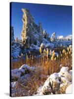 Fresh Snow on Tufa Formations & Cattails at Sunrise, Mono Lake, Inyo National Forest, CA-Scott T. Smith-Stretched Canvas