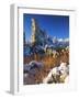 Fresh Snow on Tufa Formations & Cattails at Sunrise, Mono Lake, Inyo National Forest, CA-Scott T. Smith-Framed Photographic Print