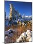 Fresh Snow on Tufa Formations & Cattails at Sunrise, Mono Lake, Inyo National Forest, CA-Scott T. Smith-Mounted Photographic Print