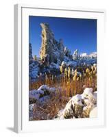 Fresh Snow on Tufa Formations & Cattails at Sunrise, Mono Lake, Inyo National Forest, CA-Scott T. Smith-Framed Photographic Print