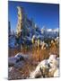 Fresh Snow on Tufa Formations & Cattails at Sunrise, Mono Lake, Inyo National Forest, CA-Scott T. Smith-Mounted Photographic Print