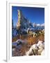 Fresh Snow on Tufa Formations & Cattails at Sunrise, Mono Lake, Inyo National Forest, CA-Scott T. Smith-Framed Photographic Print