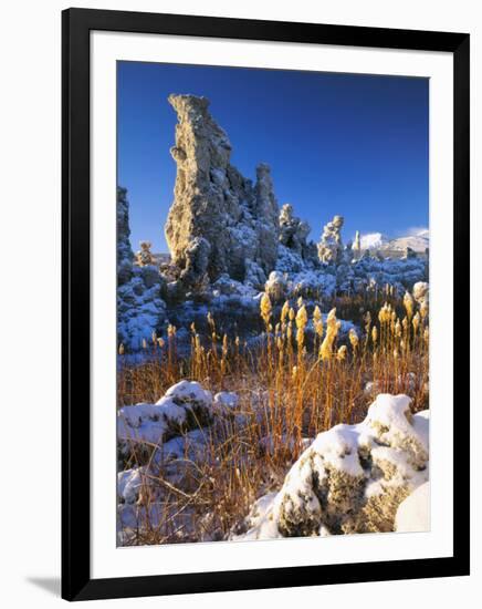 Fresh Snow on Tufa Formations & Cattails at Sunrise, Mono Lake, Inyo National Forest, CA-Scott T. Smith-Framed Photographic Print