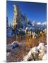 Fresh Snow on Tufa Formations & Cattails at Sunrise, Mono Lake, Inyo National Forest, CA-Scott T. Smith-Mounted Photographic Print