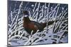 Fresh Snow - Ringneck Pheasant-Wilhelm Goebel-Mounted Giclee Print