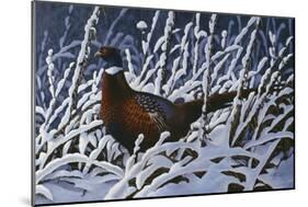 Fresh Snow - Ringneck Pheasant-Wilhelm Goebel-Mounted Giclee Print