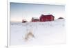 Fresh Snow Surrounds the Typical Fishermen Houses Called Rorbu in Winter, Eggum-Roberto Moiola-Framed Photographic Print