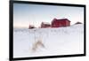 Fresh Snow Surrounds the Typical Fishermen Houses Called Rorbu in Winter, Eggum-Roberto Moiola-Framed Photographic Print