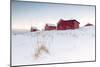 Fresh Snow Surrounds the Typical Fishermen Houses Called Rorbu in Winter, Eggum-Roberto Moiola-Mounted Photographic Print