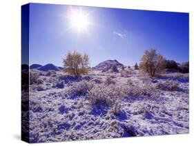 Fresh Snowfall in the Badlands of Theodore Roosevelt National Park, North Dakota, USA-Chuck Haney-Stretched Canvas