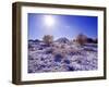 Fresh Snowfall in the Badlands of Theodore Roosevelt National Park, North Dakota, USA-Chuck Haney-Framed Photographic Print