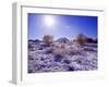 Fresh Snowfall in the Badlands of Theodore Roosevelt National Park, North Dakota, USA-Chuck Haney-Framed Photographic Print