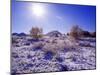 Fresh Snowfall in the Badlands of Theodore Roosevelt National Park, North Dakota, USA-Chuck Haney-Mounted Photographic Print