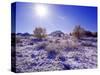 Fresh Snowfall in the Badlands of Theodore Roosevelt National Park, North Dakota, USA-Chuck Haney-Stretched Canvas