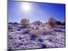 Fresh Snowfall in the Badlands of Theodore Roosevelt National Park, North Dakota, USA-Chuck Haney-Mounted Photographic Print