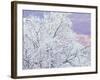 Fresh Snowfall on Birch, Burke Mountain, Vermont, USA-Darrell Gulin-Framed Photographic Print