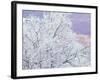 Fresh Snowfall on Birch, Burke Mountain, Vermont, USA-Darrell Gulin-Framed Photographic Print