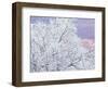 Fresh Snowfall on Birch, Burke Mountain, Vermont, USA-Darrell Gulin-Framed Photographic Print