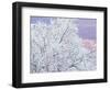 Fresh Snowfall on Birch, Burke Mountain, Vermont, USA-Darrell Gulin-Framed Photographic Print