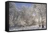 Fresh Snowfall on Quaking Aspens, Glacier National Park, Montana, USA-Chuck Haney-Framed Stretched Canvas