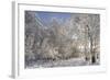 Fresh Snowfall on Quaking Aspens, Glacier National Park, Montana, USA-Chuck Haney-Framed Photographic Print