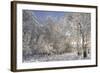 Fresh Snowfall on Quaking Aspens, Glacier National Park, Montana, USA-Chuck Haney-Framed Photographic Print
