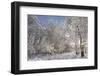 Fresh Snowfall on Quaking Aspens, Glacier National Park, Montana, USA-Chuck Haney-Framed Photographic Print