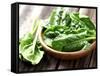 Fresh Spinach-dionisvera-Framed Stretched Canvas