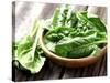 Fresh Spinach-dionisvera-Stretched Canvas