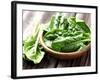 Fresh Spinach-dionisvera-Framed Photographic Print