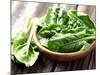 Fresh Spinach-dionisvera-Mounted Photographic Print