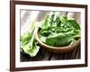 Fresh Spinach-dionisvera-Framed Photographic Print