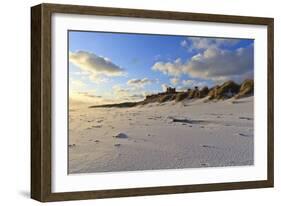 Fresh Spring Snow at Dawn Highlight Ripples and Marks in the Sand Beneath Bamburgh Castle-Eleanor-Framed Photographic Print