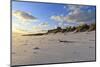 Fresh Spring Snow at Dawn Highlight Ripples and Marks in the Sand Beneath Bamburgh Castle-Eleanor-Mounted Photographic Print