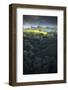 Fresh Spring Tree and Light, Mount Diablo, Walnut Creek-Vincent James-Framed Photographic Print