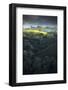 Fresh Spring Tree and Light, Mount Diablo, Walnut Creek-Vincent James-Framed Photographic Print