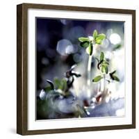 Fresh Start-Incredi-Framed Giclee Print